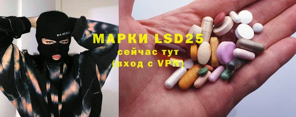 шишки Майский