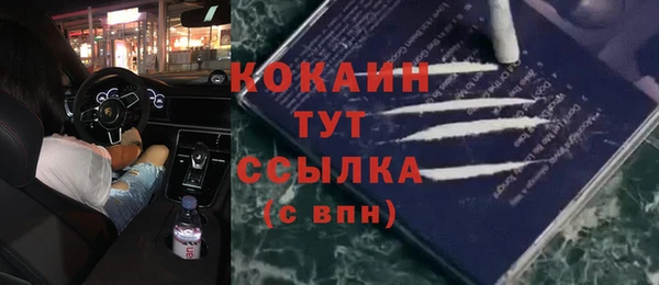 шишки Майский