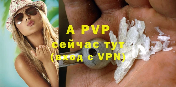 шишки Майский