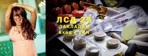 шишки Майский