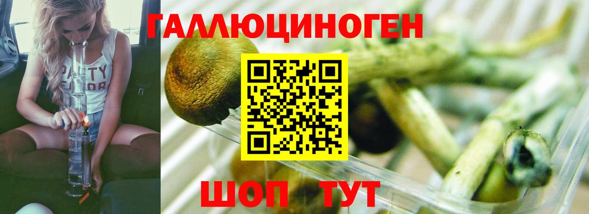 Псилоцибиновые грибы мухоморы Домодедово